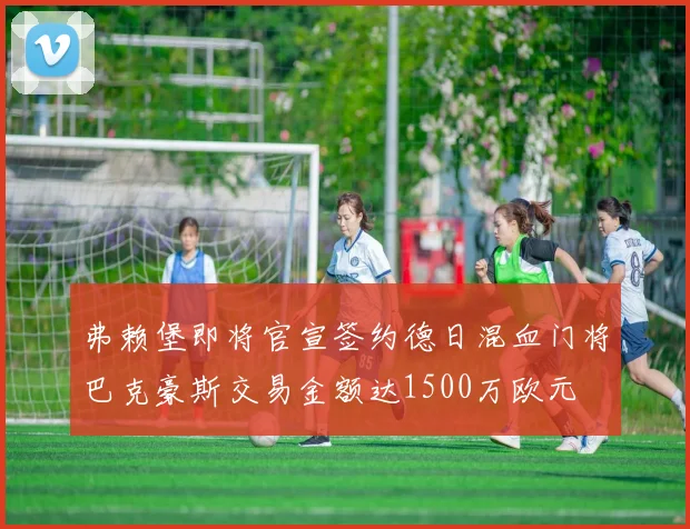 弗赖堡即将官宣签约德日混血门将巴克豪斯交易金额达1500万欧元
