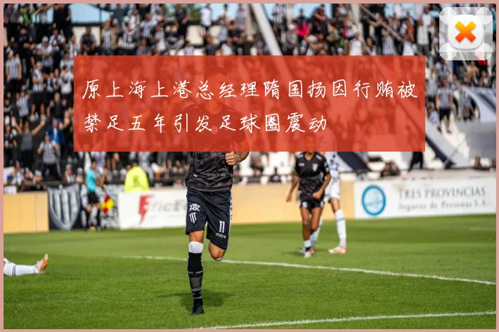 原上海上港总经理隋国扬因行贿被禁足五年引发足球圈震动
